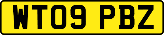 WT09PBZ