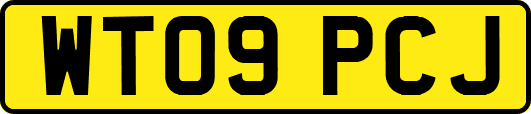 WT09PCJ