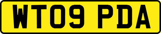 WT09PDA