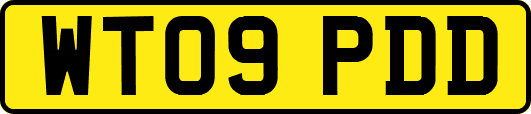 WT09PDD