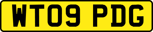 WT09PDG