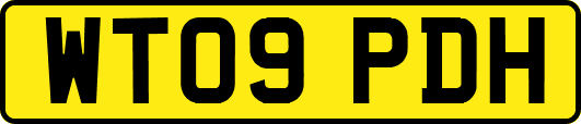 WT09PDH