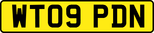 WT09PDN