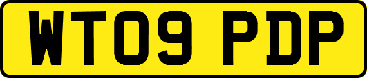 WT09PDP