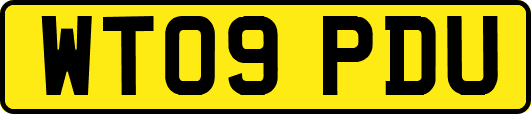WT09PDU