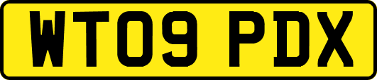 WT09PDX