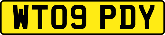 WT09PDY