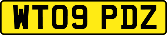 WT09PDZ