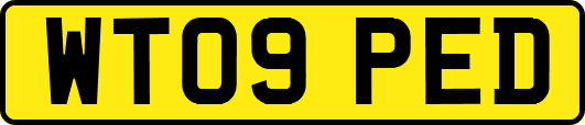 WT09PED