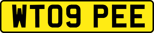 WT09PEE