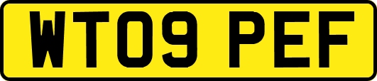 WT09PEF