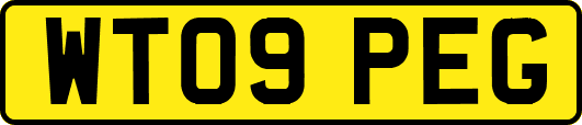 WT09PEG