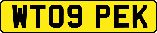 WT09PEK