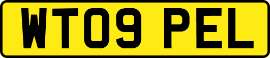 WT09PEL