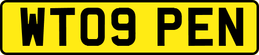 WT09PEN