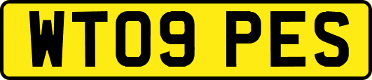 WT09PES