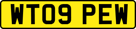 WT09PEW