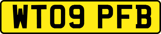WT09PFB