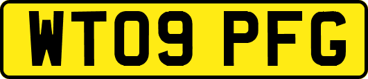 WT09PFG