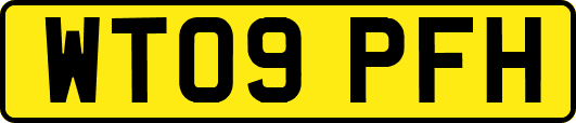 WT09PFH