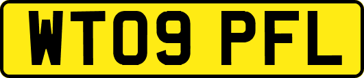 WT09PFL