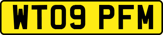 WT09PFM