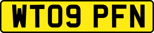 WT09PFN