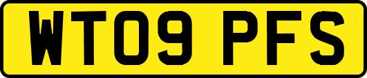 WT09PFS