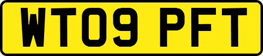 WT09PFT