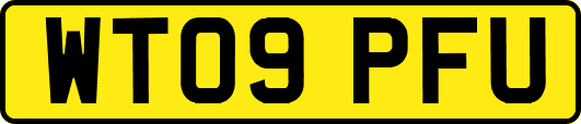WT09PFU