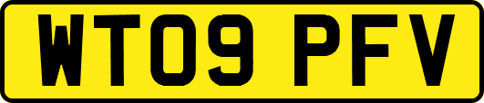 WT09PFV
