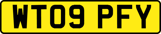 WT09PFY