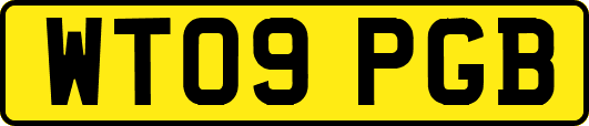 WT09PGB