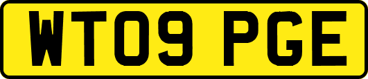 WT09PGE