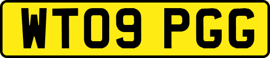 WT09PGG