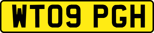 WT09PGH