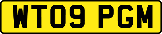 WT09PGM