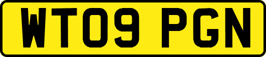 WT09PGN