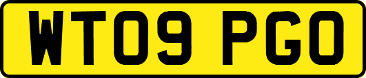 WT09PGO