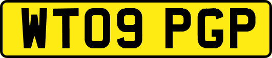 WT09PGP