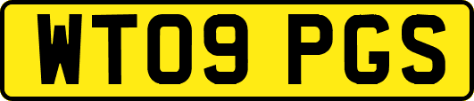 WT09PGS