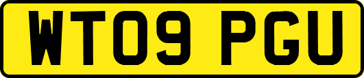 WT09PGU