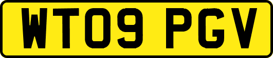 WT09PGV