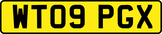 WT09PGX