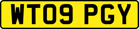 WT09PGY