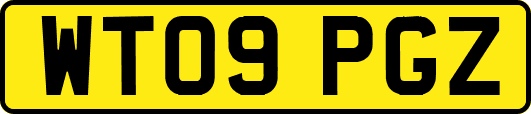 WT09PGZ