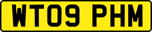 WT09PHM