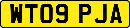 WT09PJA