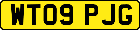 WT09PJG