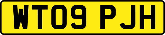 WT09PJH